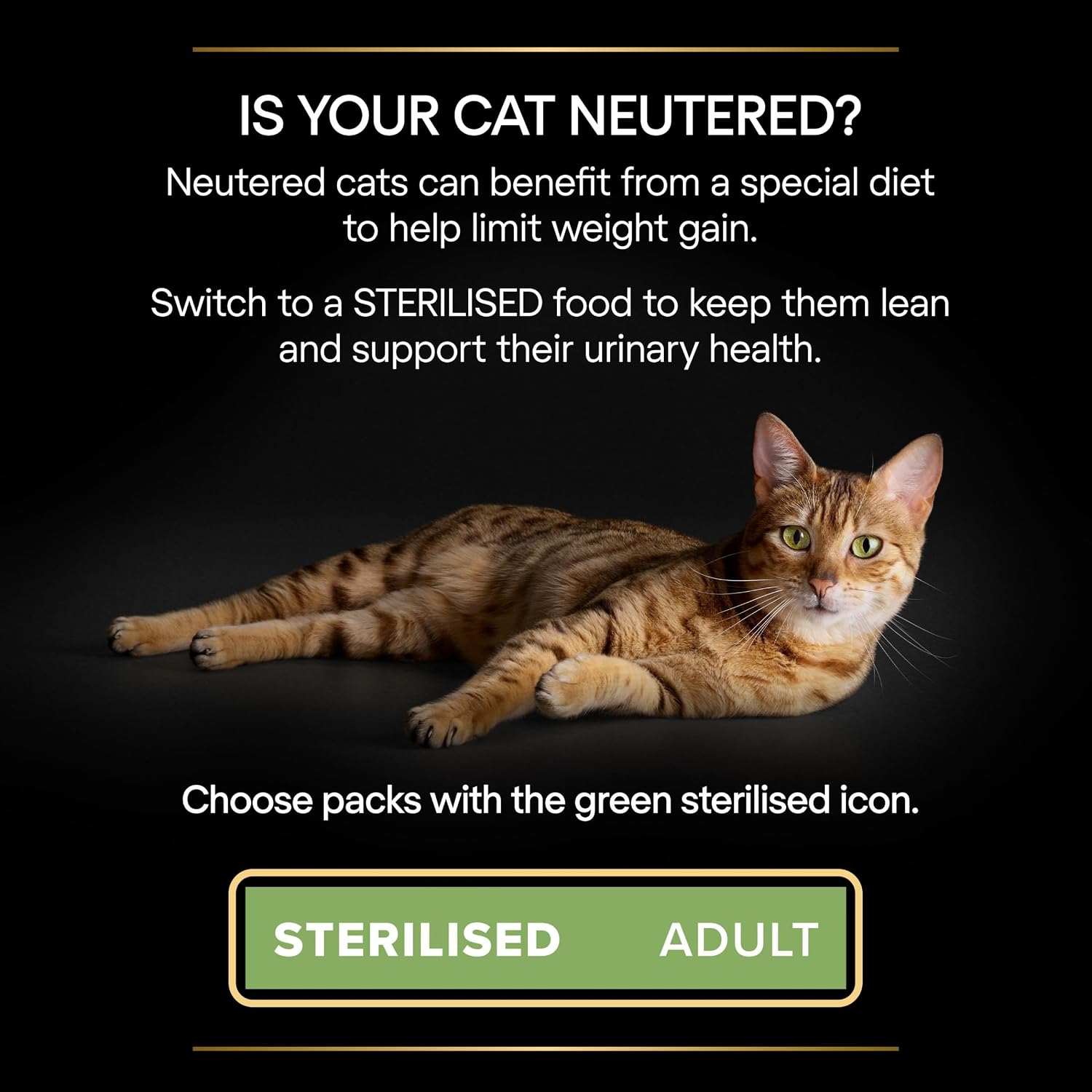 Detalle de PURINA PRO PLAN Adult Sterilised Maintenance – Sachets 40 x 85 g, Poulet & Boeuf