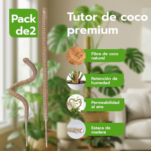 Detalle 2 de Wigearss: 2 tutores de fibra de coco de 60 cm para plantas trepadoras, con montaje y anclaje incluido