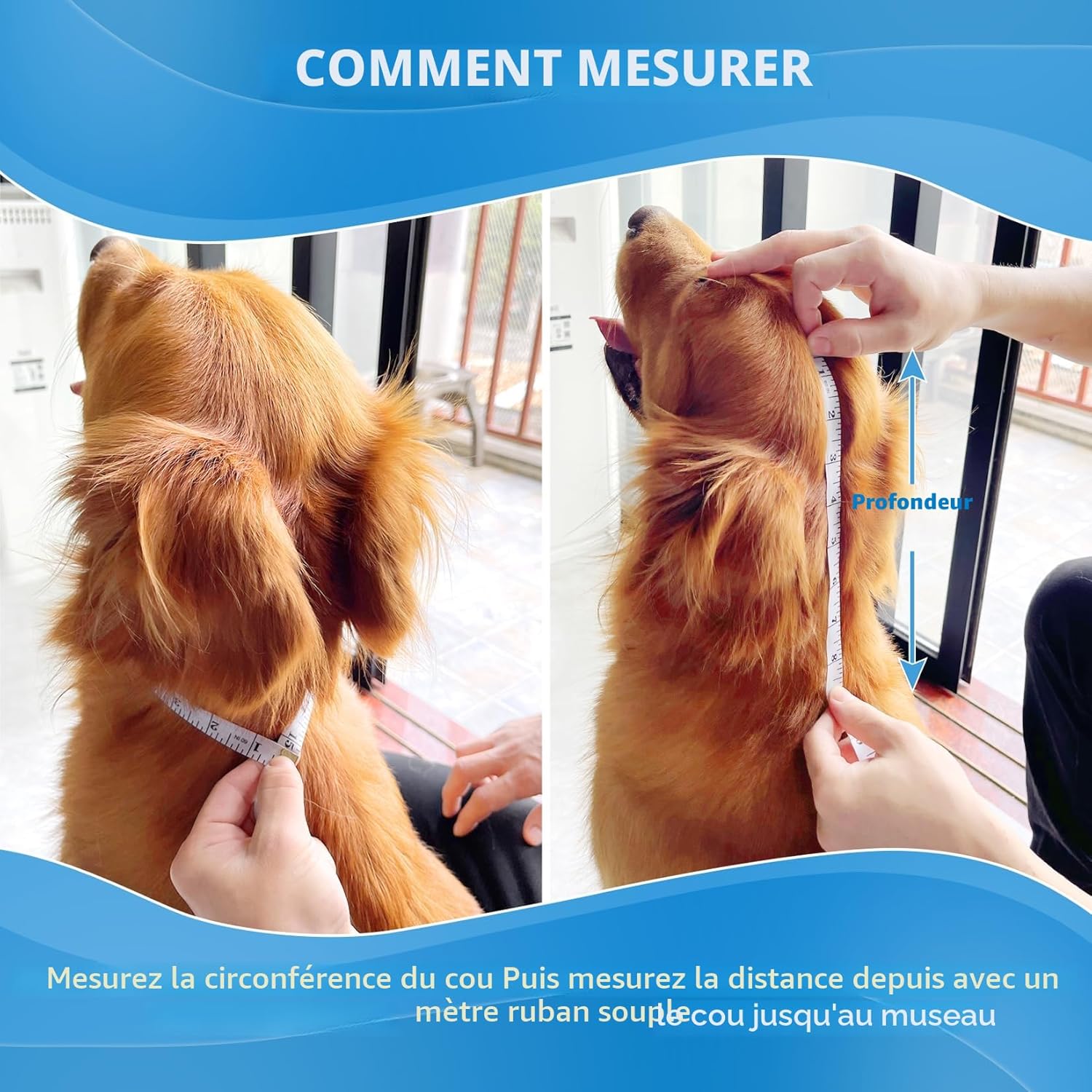 Detalle 2 de Collerette Chien souple et légère Bleu Taille 4 – protection douce pour récupération