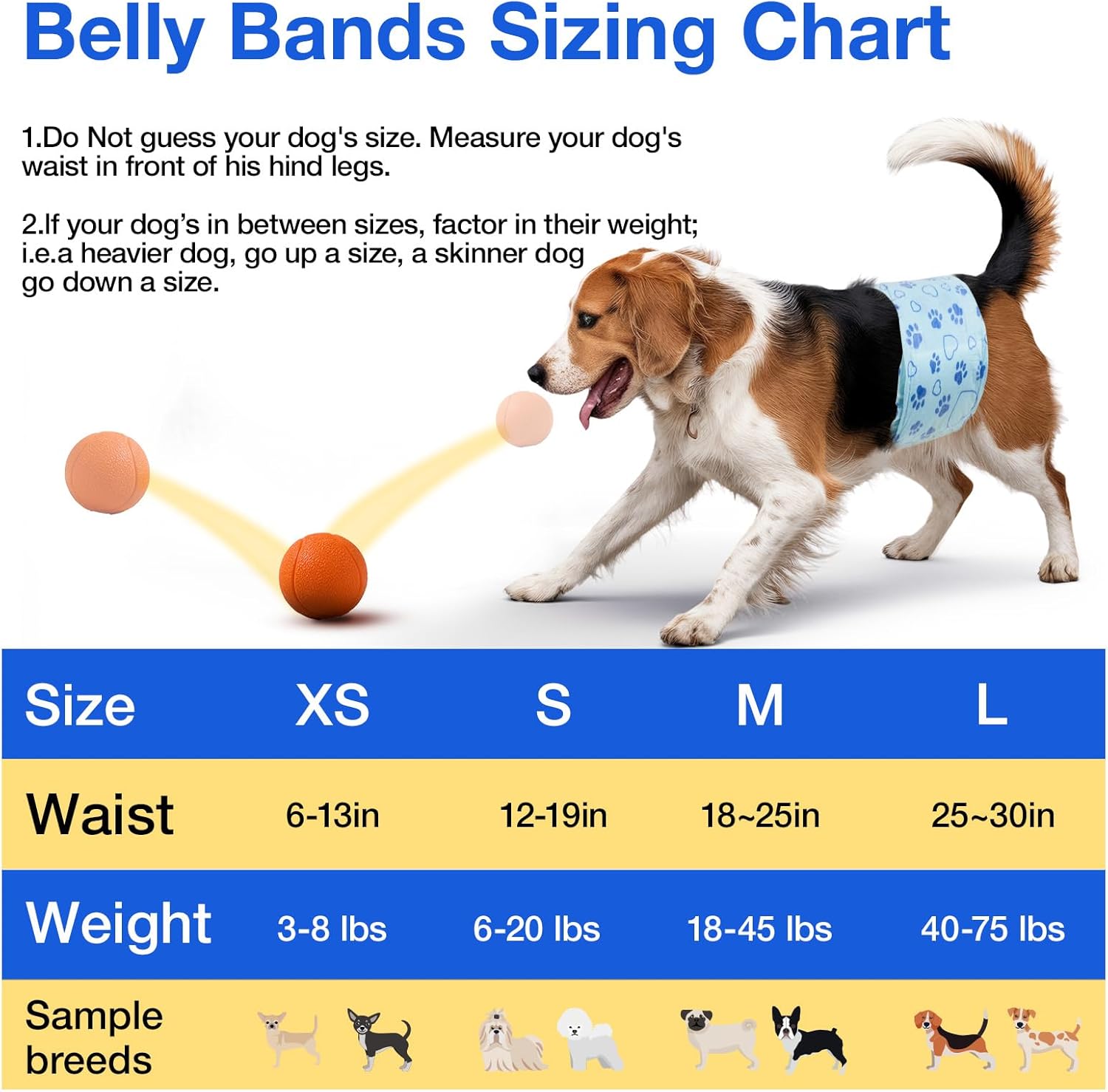 Thumbnail 5 de Pannolini per cani Flying Paws XS, 52 pezzi