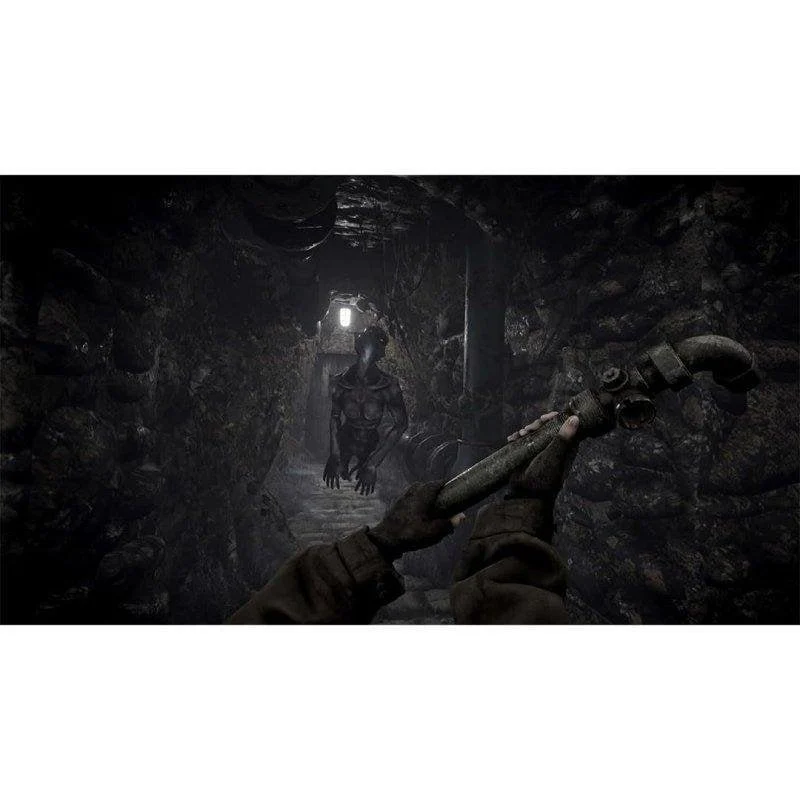 Detalle de Total Chaos PS5 por clear-river-games – Terror de supervivencia en Fort Oasis