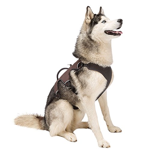 Detalle 2 de Ferplast Harnais Grand Chien ERGOTREKKING LARGE, anti-évasion, 6 fermetures ⚙