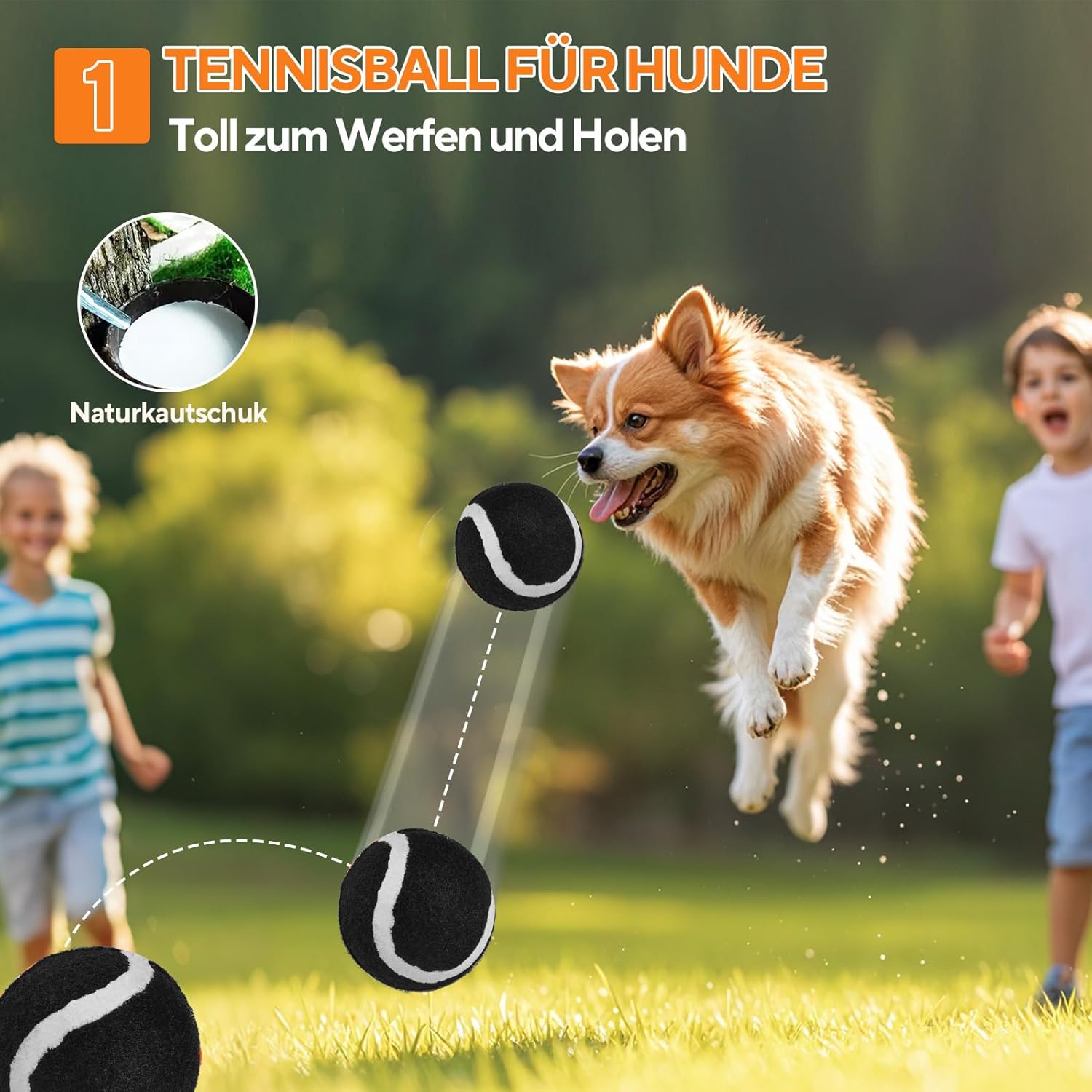 Thumbnail 5 de LIFLIX Hundespielzeug für kleine Hunde & Welpen (4-teilig) – interaktiver Kauspielzeug-Mix mit Quietschball und Kauformen