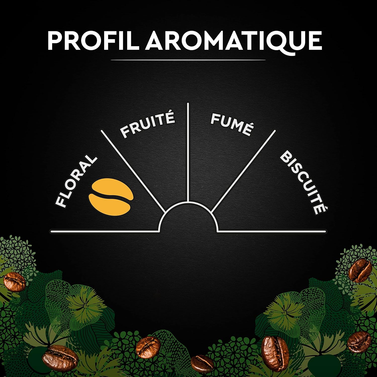 Thumbnail 3 de CARTE NOIRE Café en grain Bio 100% Arabica – Origine Amérique Latine, 1 kg