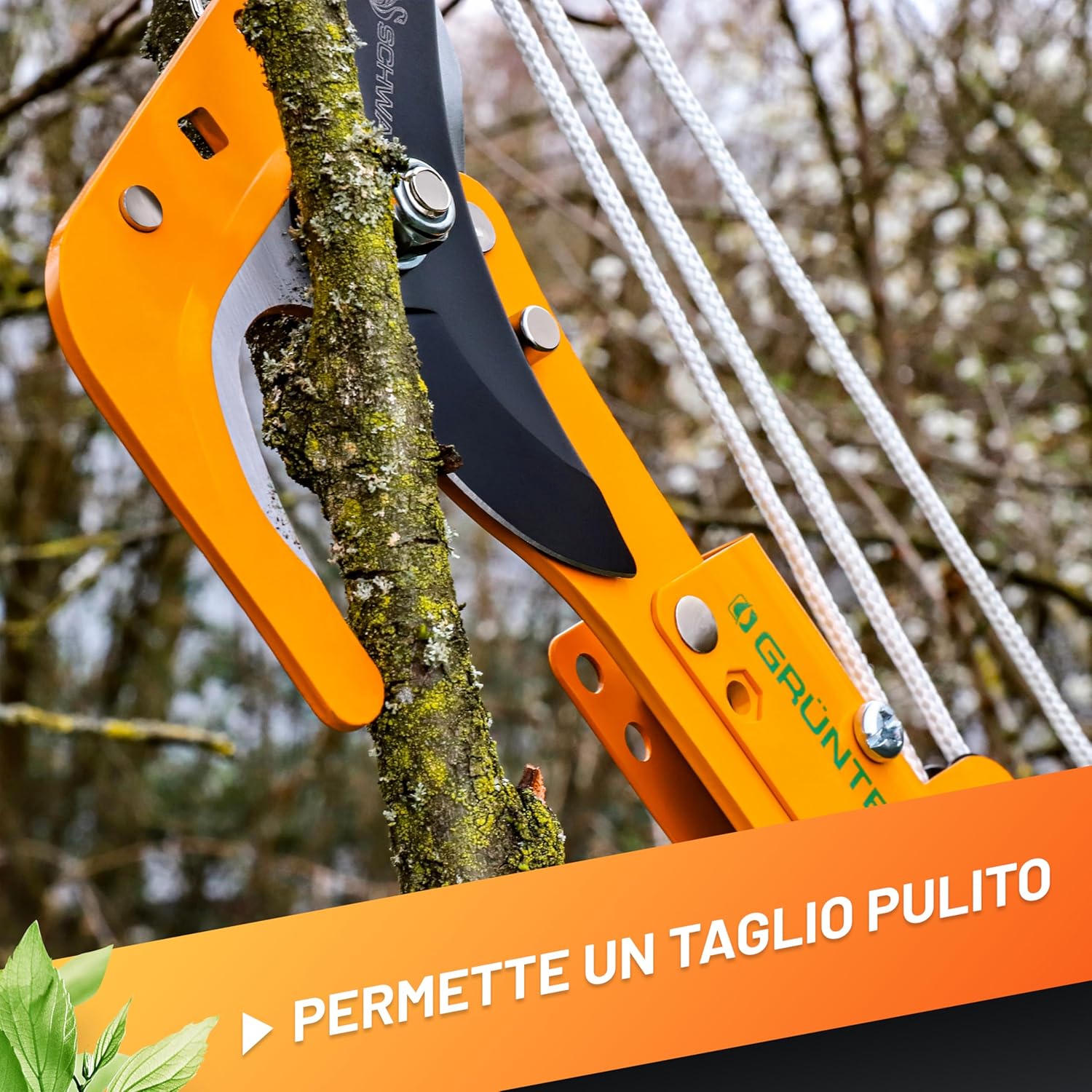 Thumbnail 3 de GRÜNTEK Svettatoio Cesoia Potatura Troncarami per Pertica telescopica – Modello compatibile B096Y4VBF2