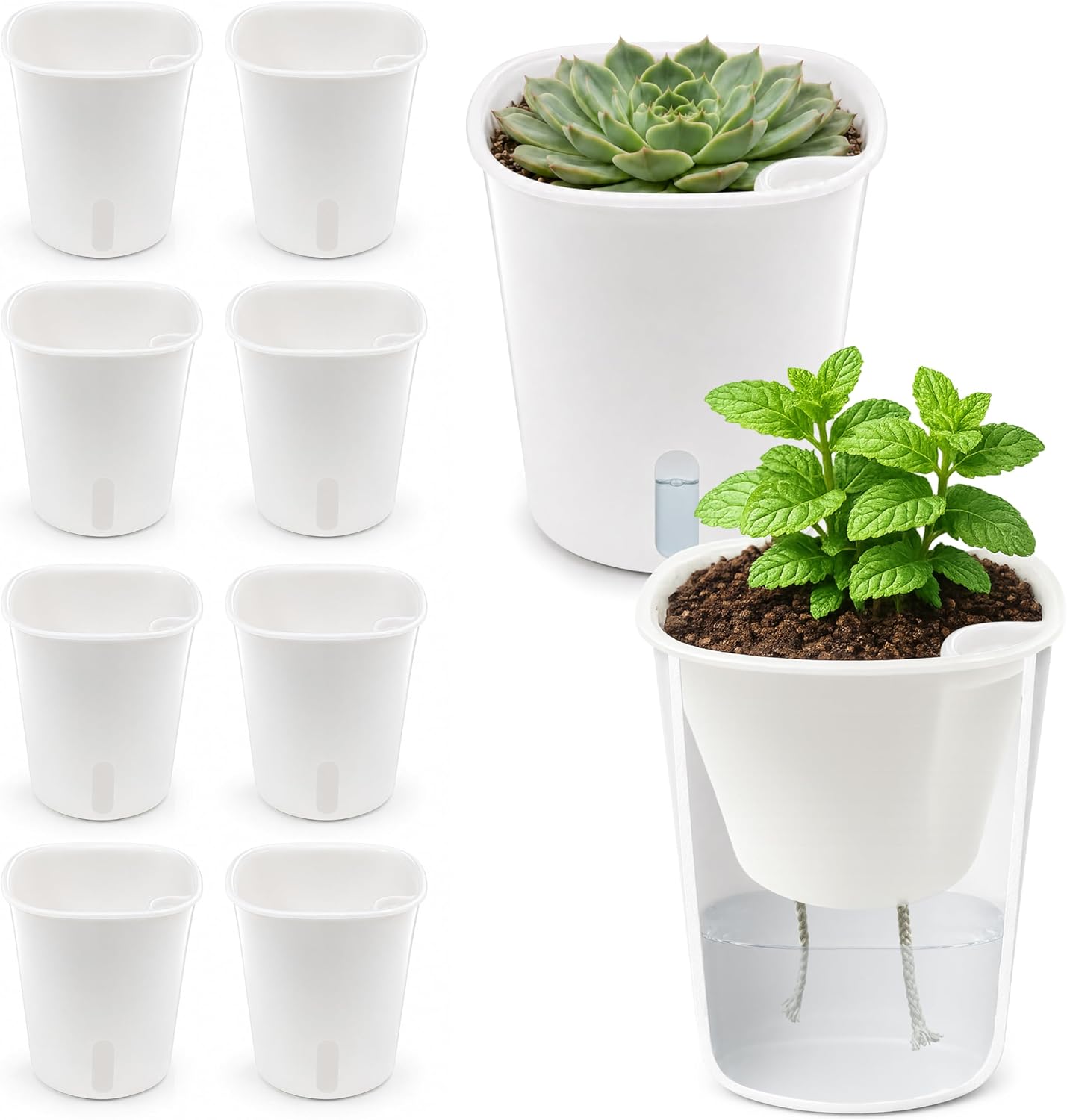 Detalle de TCBWFY 10-Pack Self-Watering Plant Pots, 3-Inch White Pots with Water-Level Window