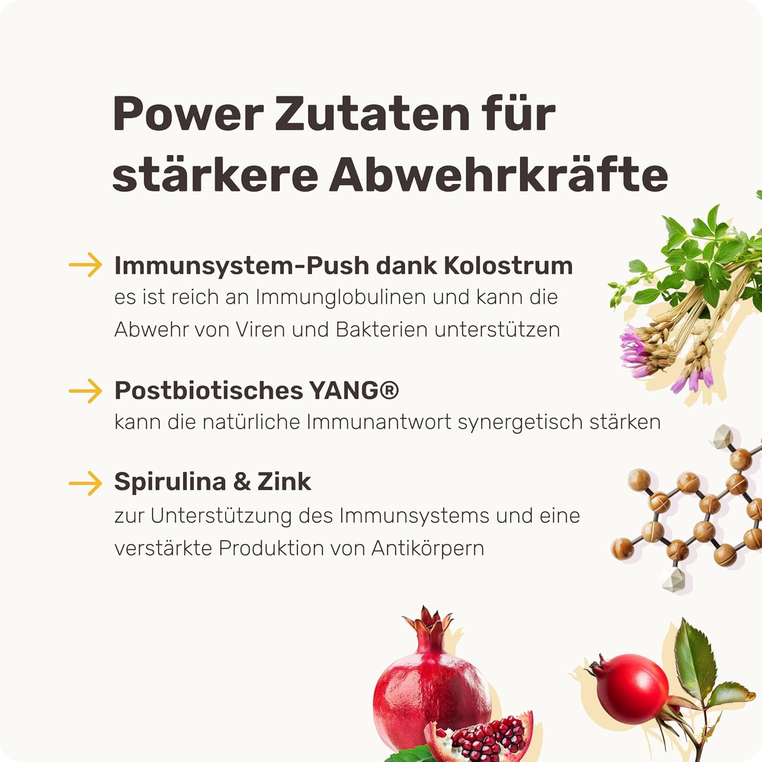 Detalle 1 de mammaly Immu Push 350 g Immunsystem-Leckerli đ