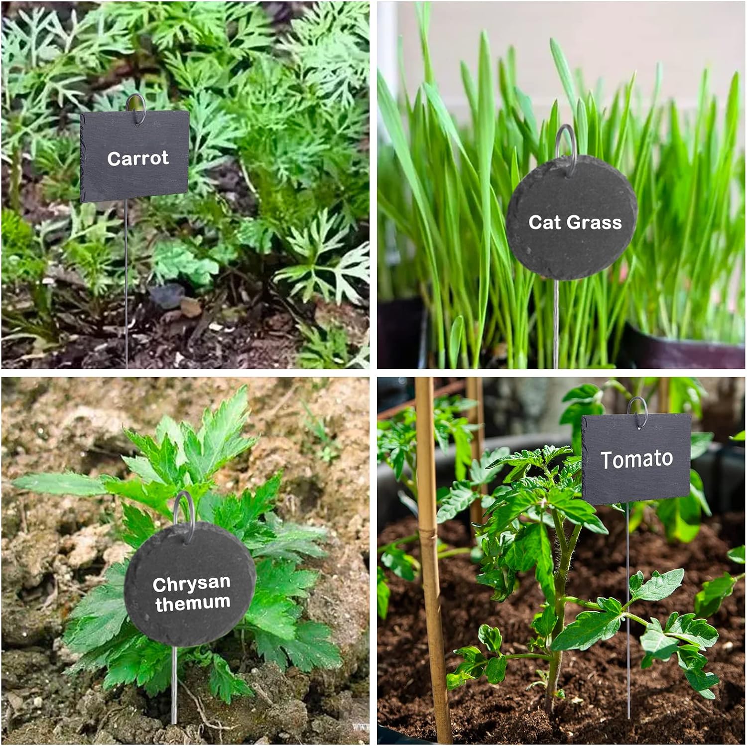 Thumbnail 6 de HIUOUIH Étiquettes de Jardin en Ardoise Naturelle – Lot de 10, Rondes 7,5 cm, avec tiges en inox et craies