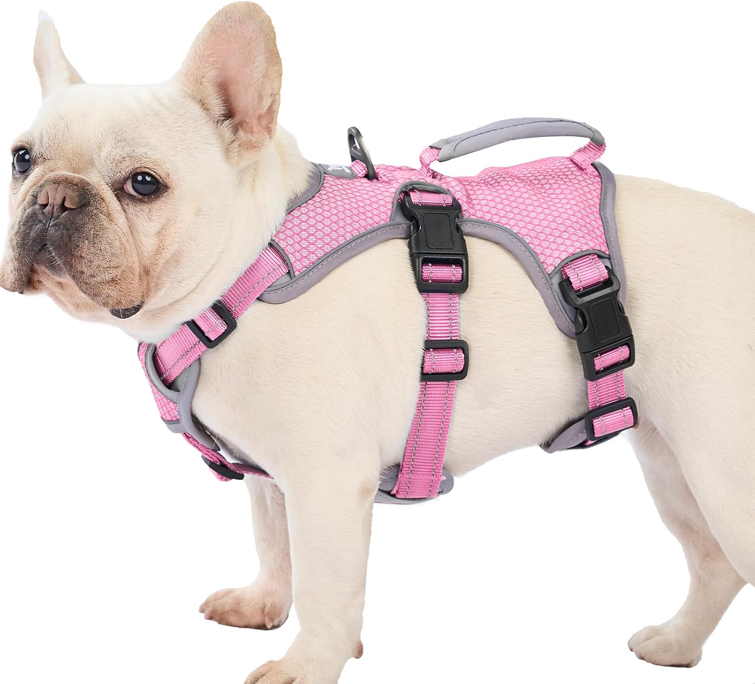 Detalle de Huntboo Dog Harness, Size M
