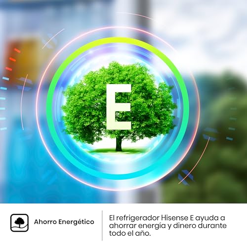 Thumbnail 10 de Hisense MTM55205E frigorífico de dos puertas con cajón de frutas y verduras, LED y 40 dBA