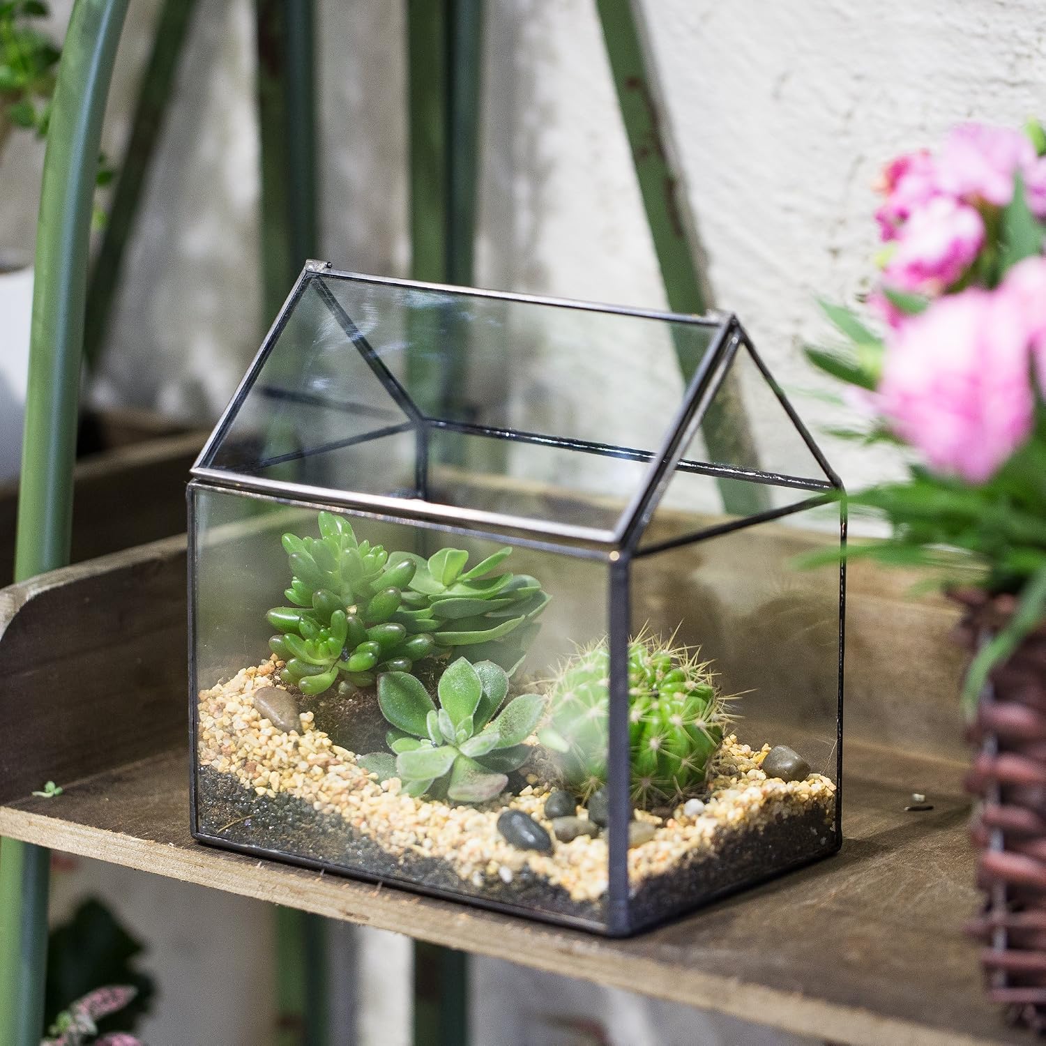 Thumbnail 5 de NCYP Small Closed Glass Geometric Terrarium with Swing Lid for Succulents and Moss