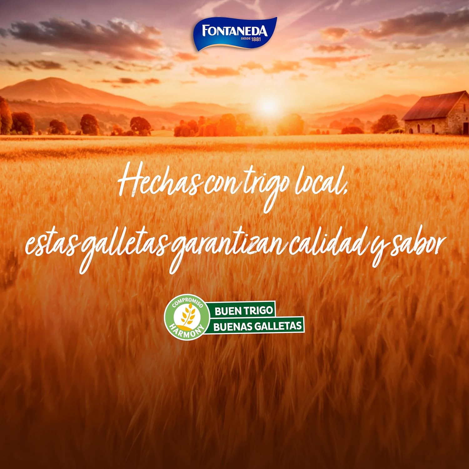 Thumbnail 5 de Fontaneda Yayitas Galletas Doradas al Horno 🍪, 72% Cereales, 600 g