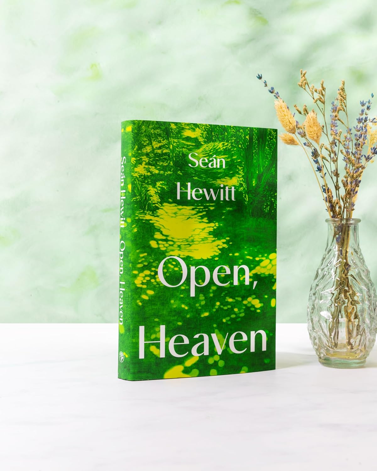 Detalle 2 de Open, Heaven – roman over de invloed van een eerste liefde, 240 pagina’s