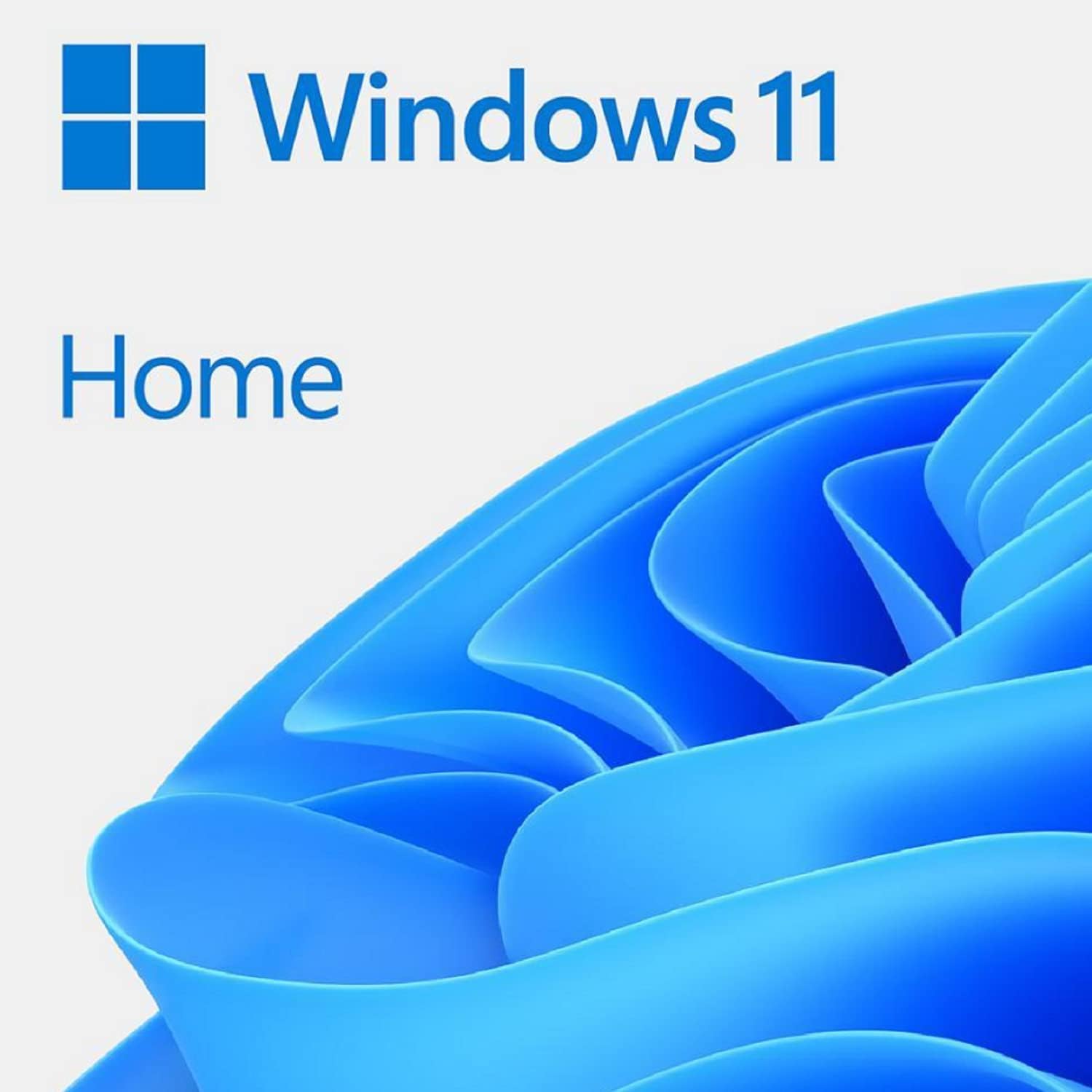 Detalle 2 de Microsoft OEM System Builder — Windows 11 Pro (New PC Only)