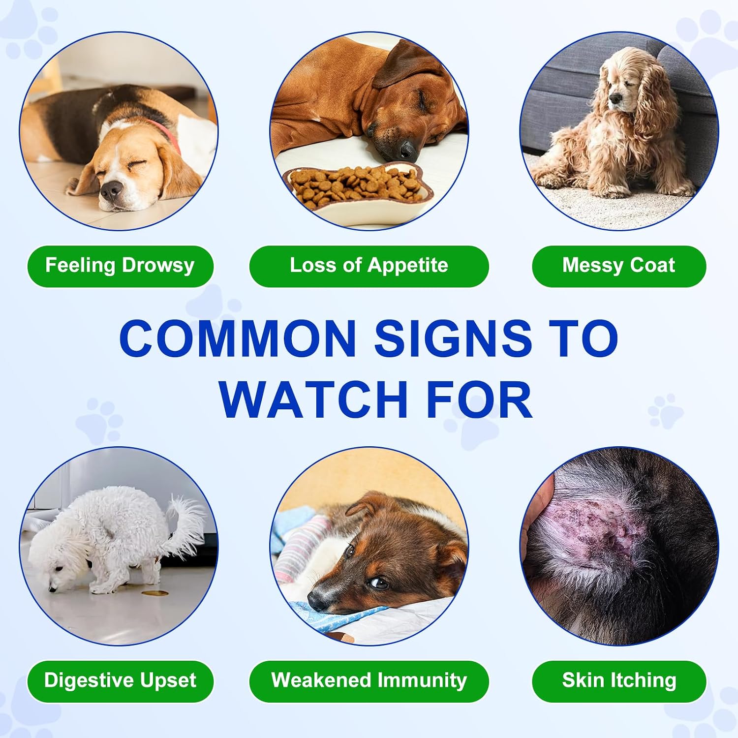 Detalle de Probiotici Per Cani, 150 Compresse Masticabili al Gusto Anatra (Duck Flavor) – Supporto digestivo e immunitario per cani di tutte le età
