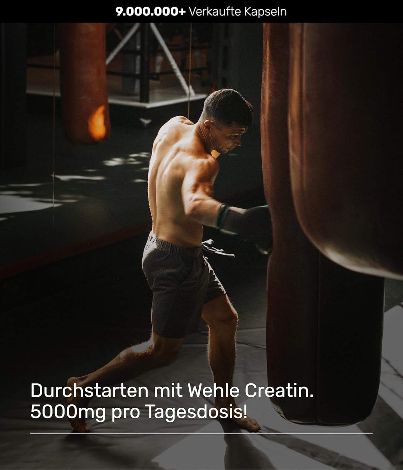 Detalle 2 de Wehle Sports Creatin Kapseln 5000 mg đ