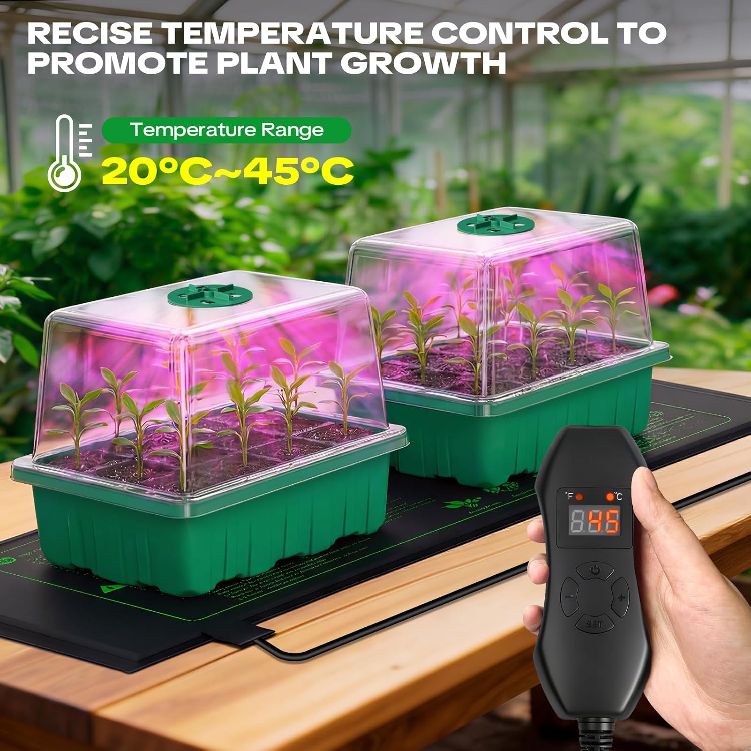 Thumbnail 1 de YAUNGEL Seed Trays with Grow Light