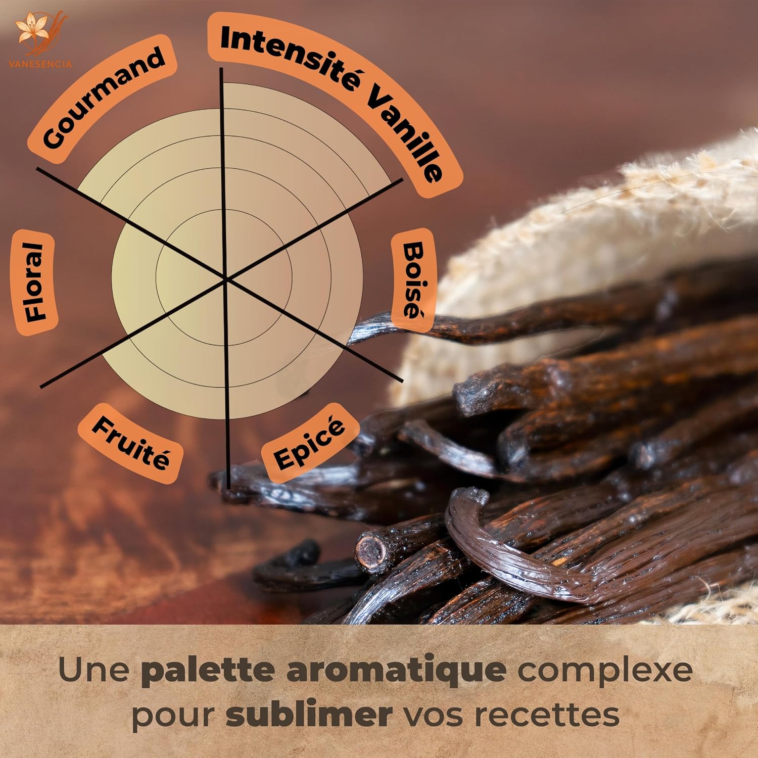 Detalle de 15 Gousses de Vanille XL 15-18cm – Vanille Bourbon Gourmet Madagascar par Vanesencia