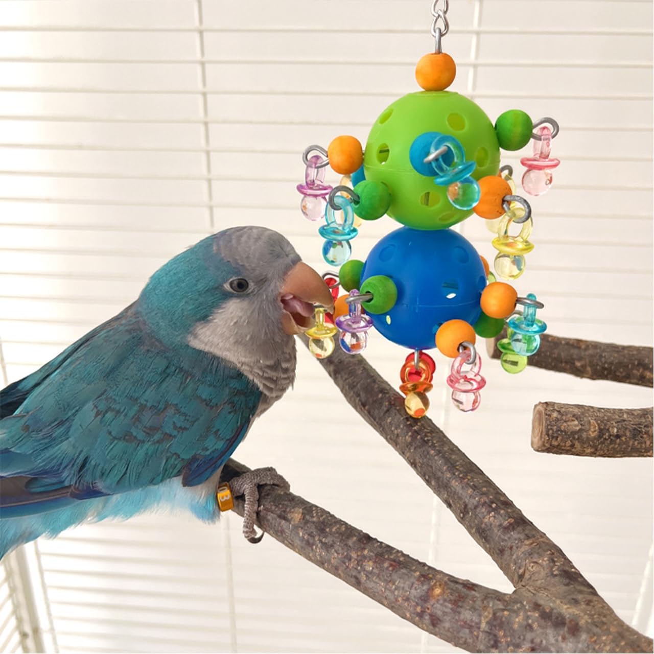 Thumbnail 5 de Didabotak Bird Chewing Toys: Hanging Colorful Plastic Ball Toy for Small to Medium Birds