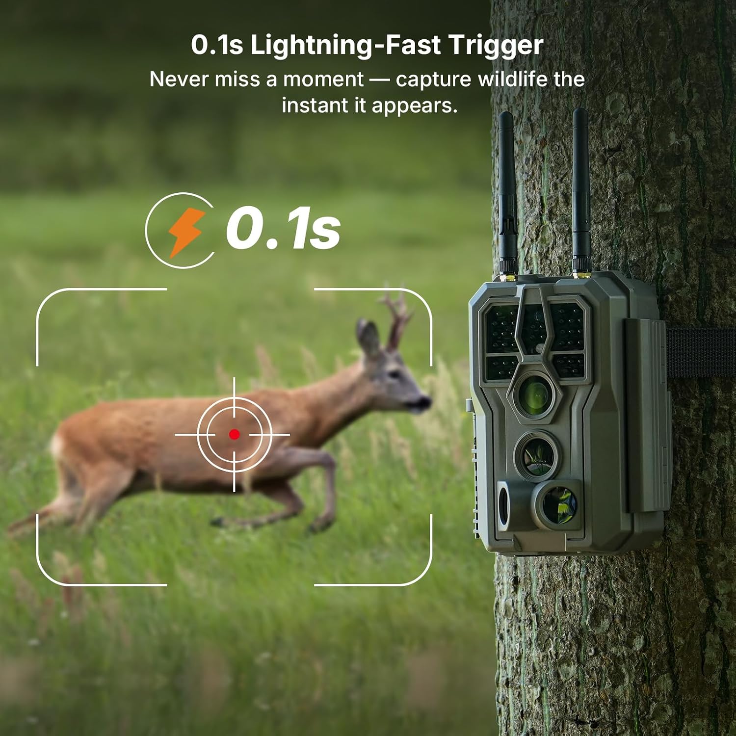 Detalle de GardePro E8 2.0 Trail Camera, 4K Video, 64MP Photos, Dual Antennas