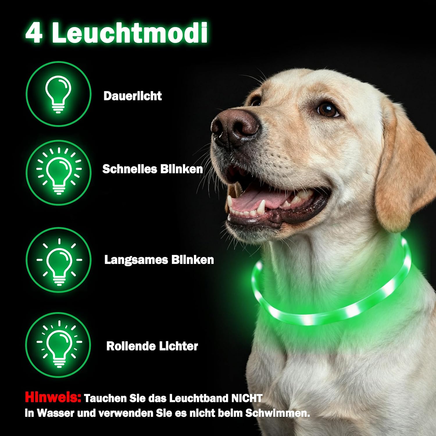 Detalle de Leuchthalsband Hund 70 cm USB, grün