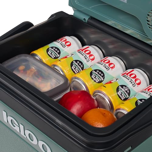 Detalle de Igloo IE24: glacière électrique 24L 12V/230V, compacte et légère