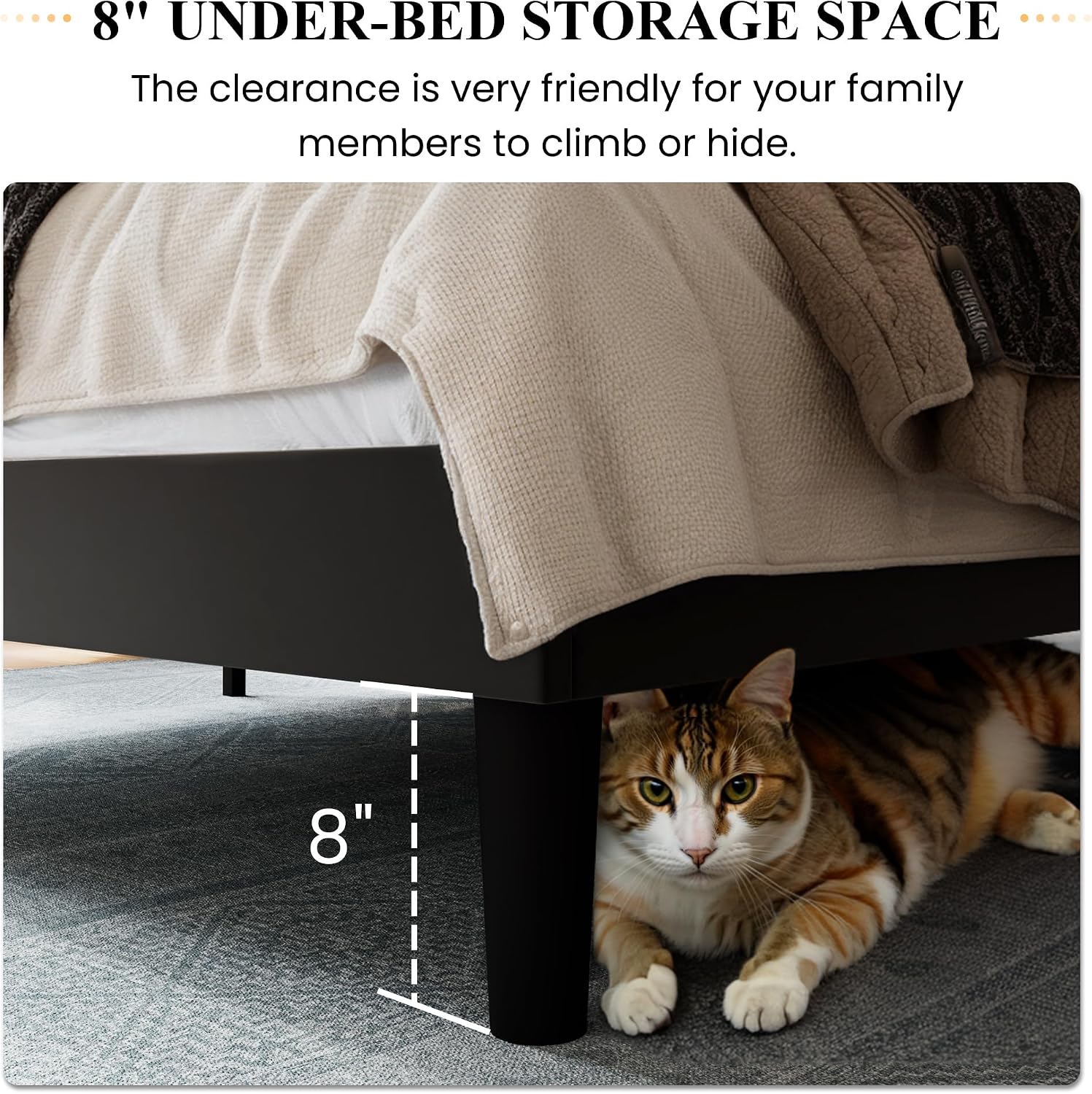 Thumbnail 6 de SHA CERLIN Queen Bed Frame, Velvet