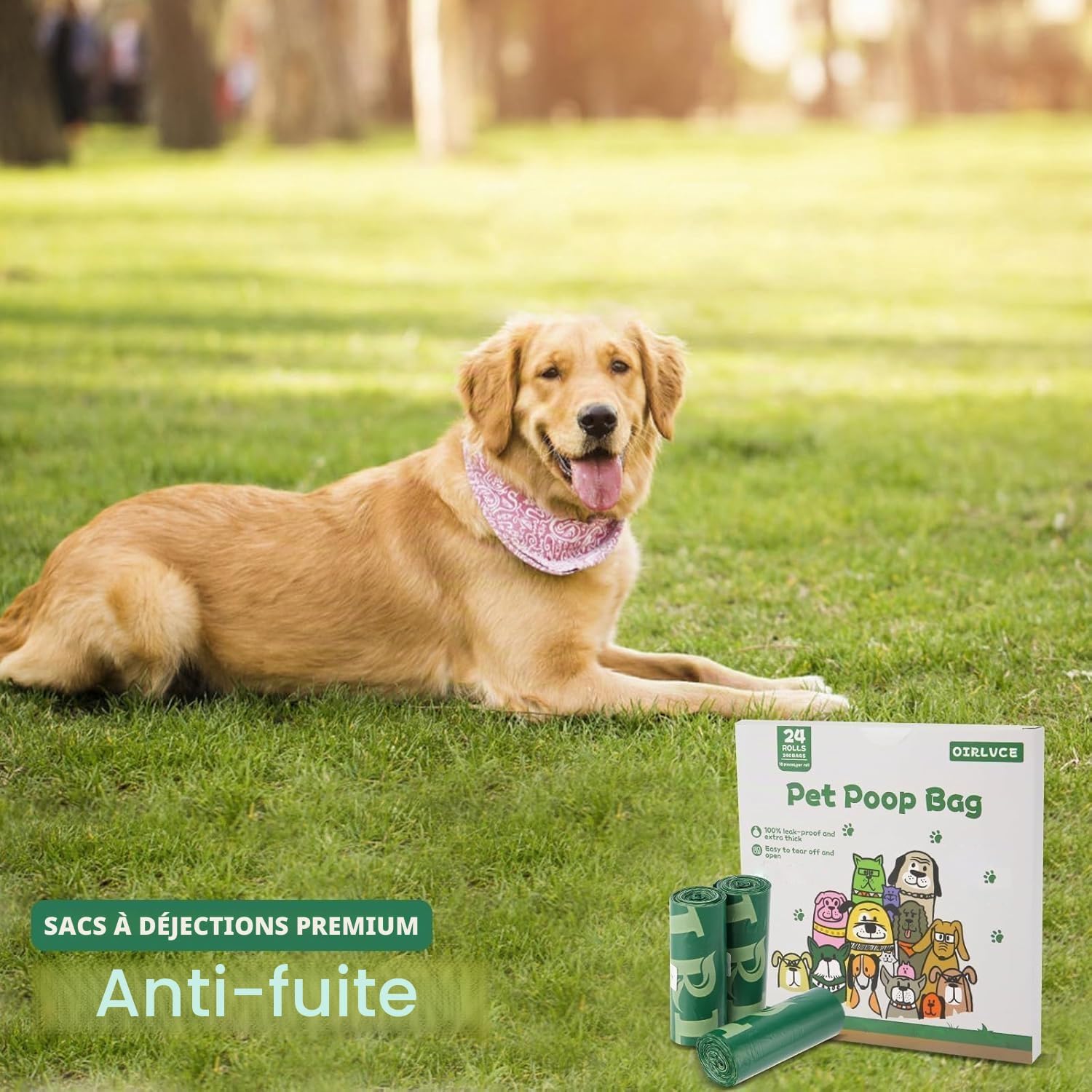 Thumbnail 6 de OIRLVCE 240 sacs à crottes de chien, 24 rouleaux, vert – sans noyau, extra épais et anti-fuite