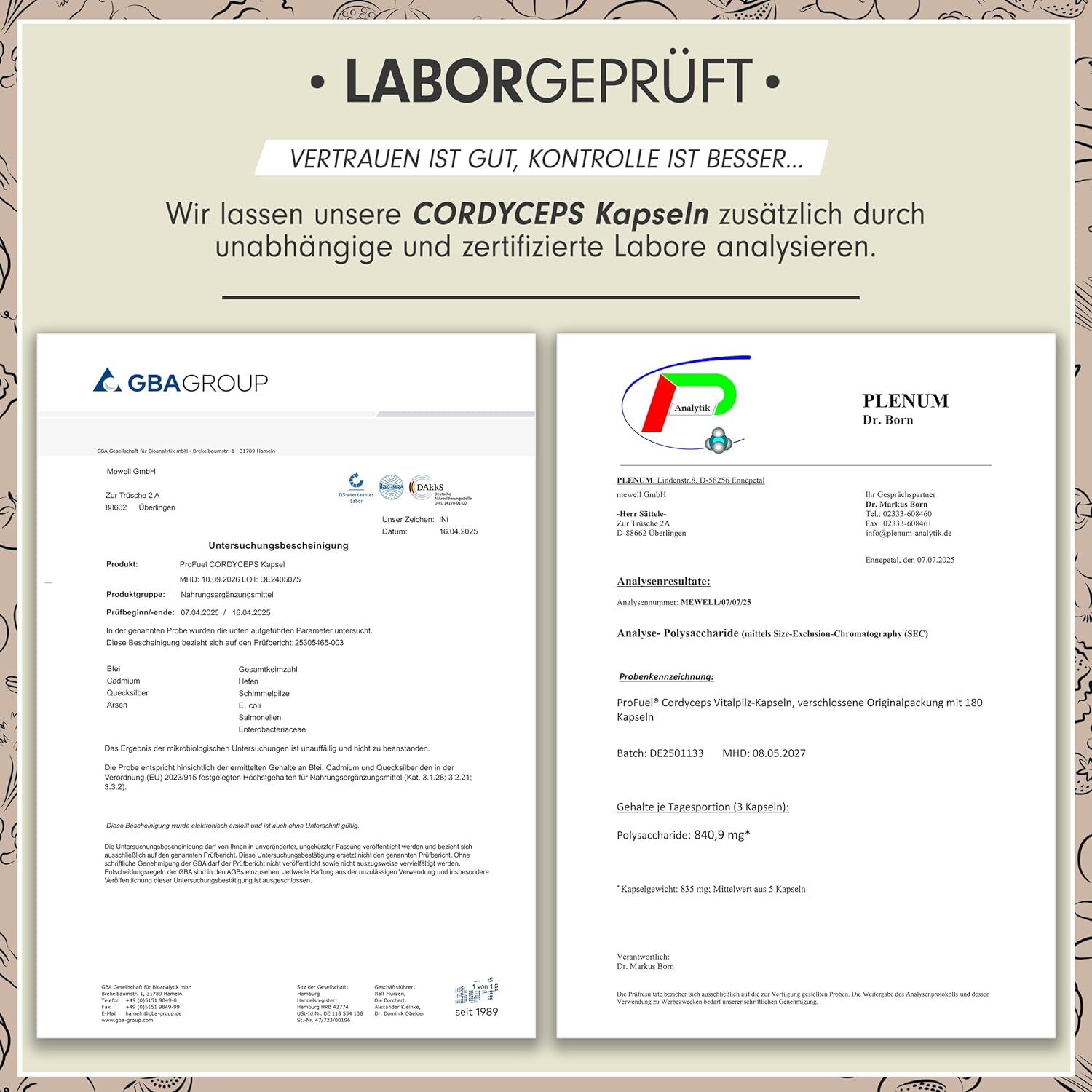 Thumbnail 4 de Cordyceps Kapseln 180x – 2100 mg Vitalpilz-Extrakt (10:1, 40% Polysaccharide) von Vitalpilz