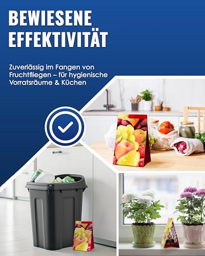 Detalle 2 de PIC Fruchtfliegenfalle Küche – 4 Klebefallen, 2 Lockstoffe, Obstfliegenfalle für Innenräume