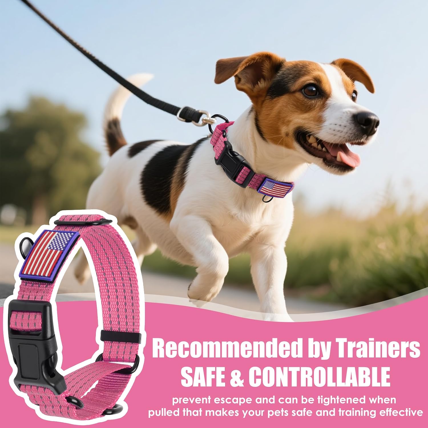 Detalle de JOOCPUP Martingale Dog Collar, L