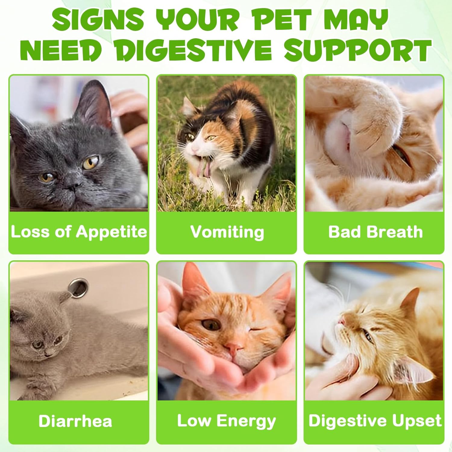 Thumbnail 4 de WANFAER Gocce Probiotiche 3 in 1 per Gatti 60 ml: probiotici con enzimi digestivi