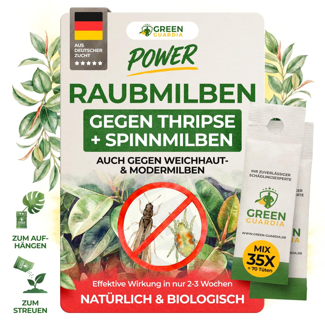 Detalle de GREEN GUARDIA Power Raubmilben Mix gegen Thripse & Spinnmilben – Biologisches Mittel, 35 Mix mit 70 Tüten