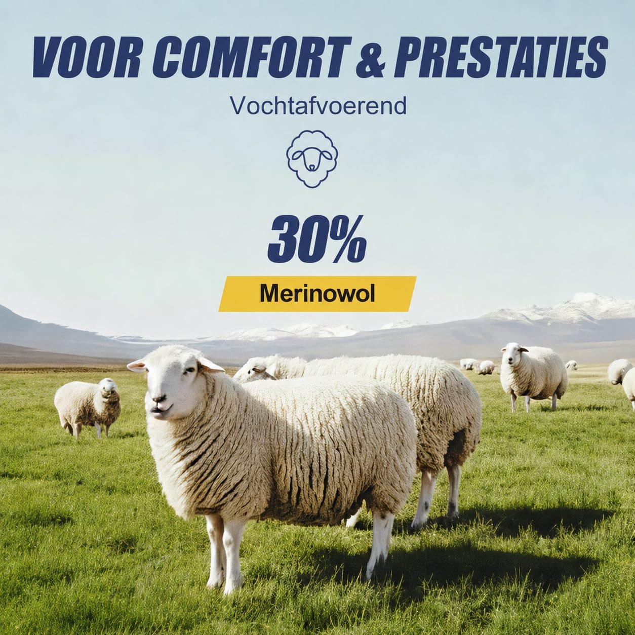 Detalle de Niofind Merino Quarter-wandelsokken, 6 paar met badstofzool en mesh