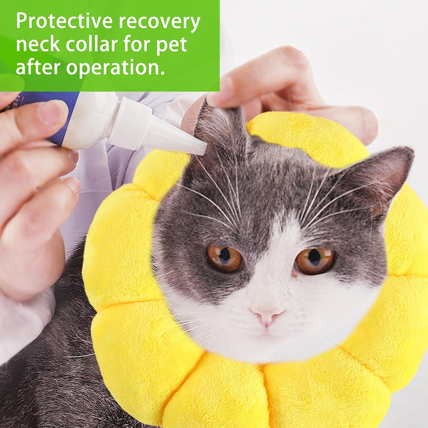 Detalle de Cat Cone Soft Recovery Collar – Sunflower Design, Adjustable for Small Cats