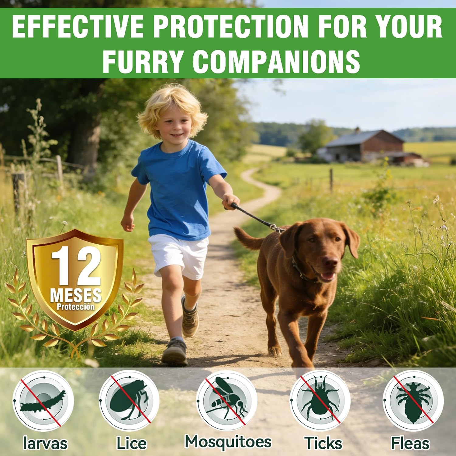 Detalle de Collier Anti Puces pour Chien – 2 pack, ajustable jusqu’à 65 cm et protection jusqu’à 12 mois