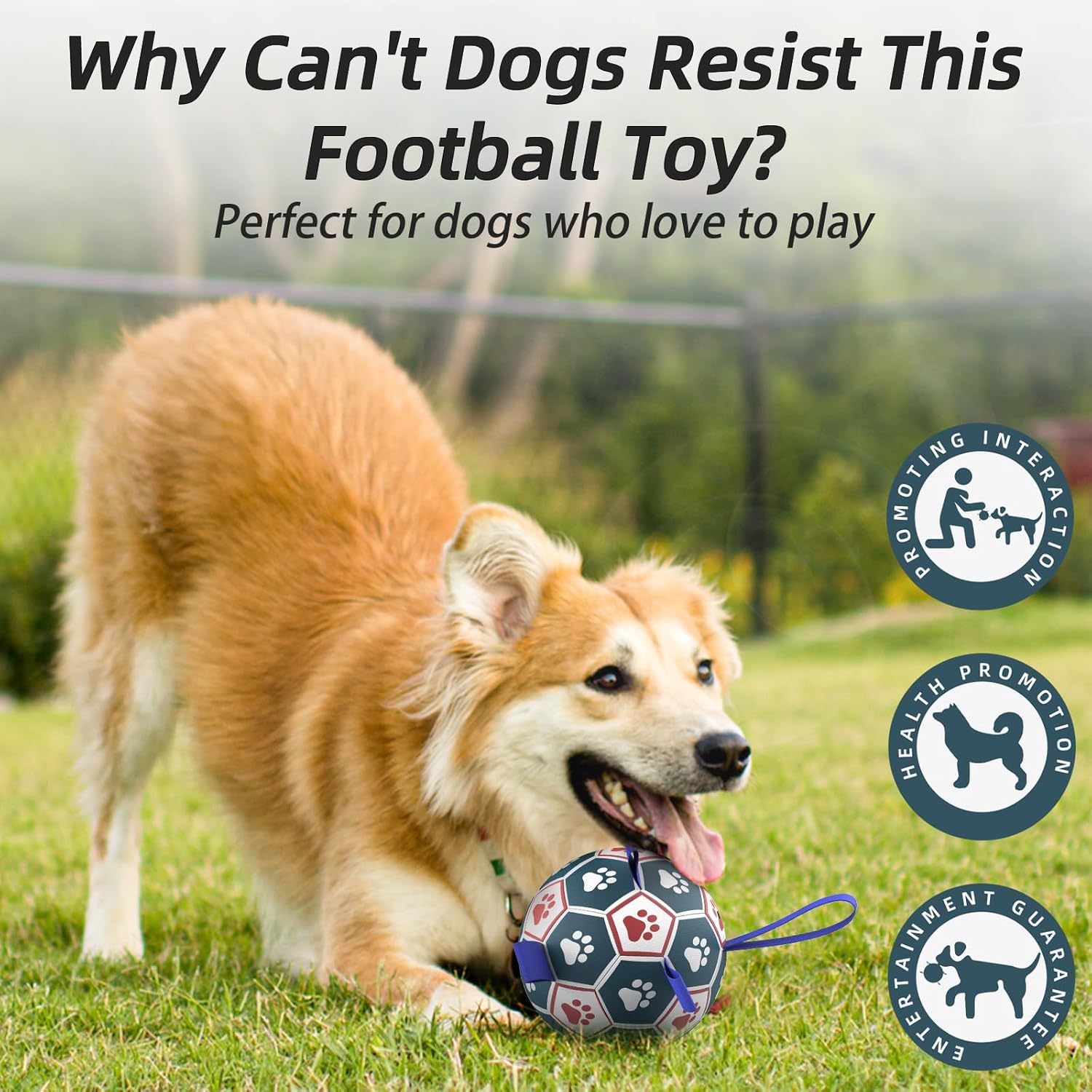 Thumbnail 5 de HETOO Dog Ball Toy Dog Football (8 Inch) – Interactive bouncy ball with webbing for indoor & outdoor play