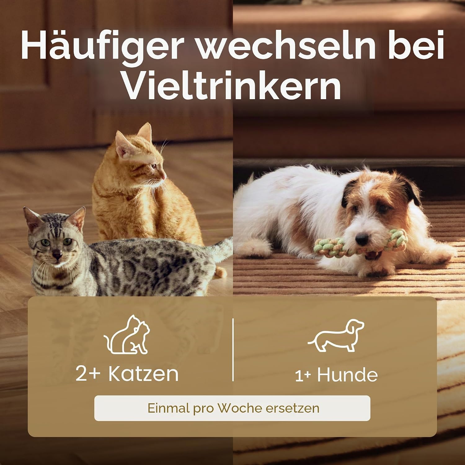 Thumbnail 6 de PETLIBRO Katzenbrunnen Filter-Set: 8 Ersatzfilter + Schwämme, kompatibel mit PLWF005/PLWF105/PLWF115