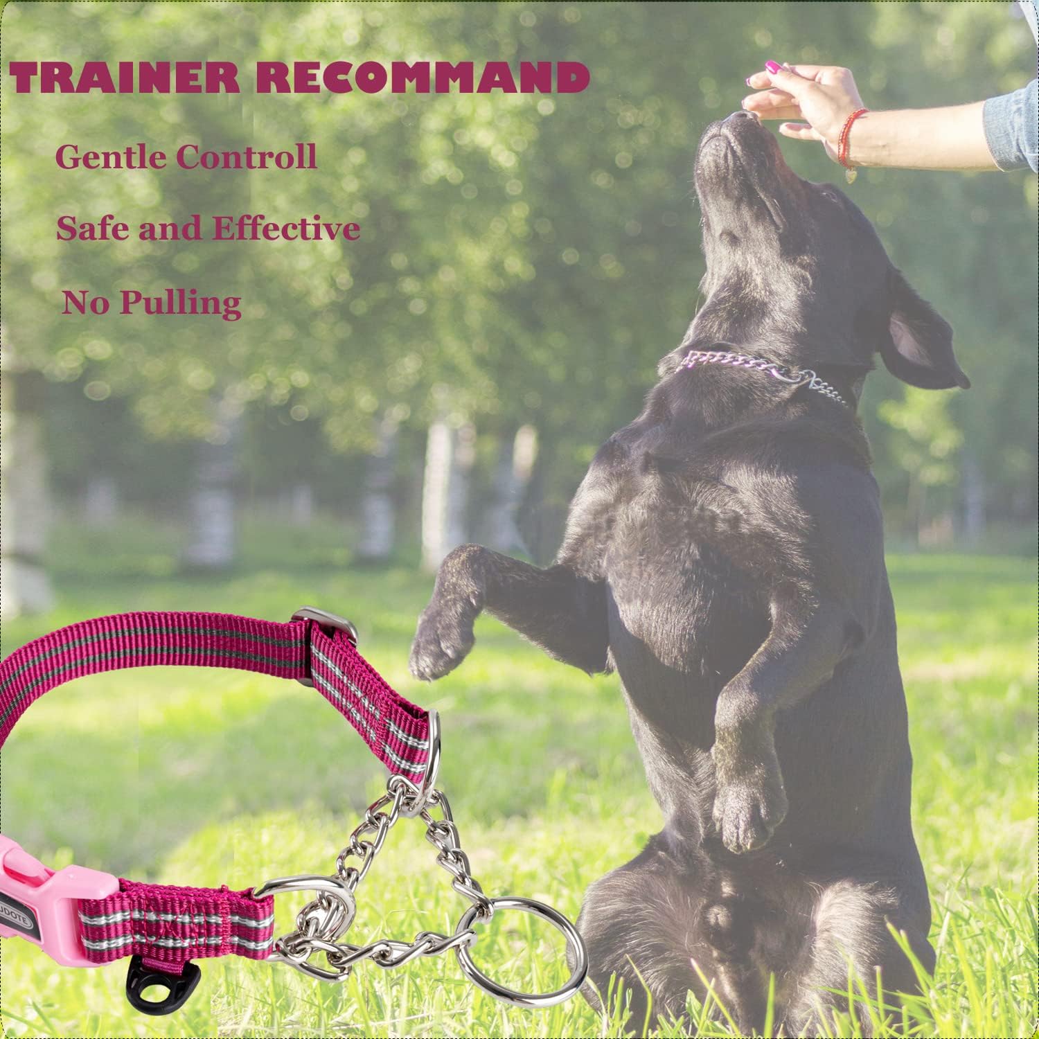 Detalle 2 de Petiry Half Chain Choke Collar Large Dogs