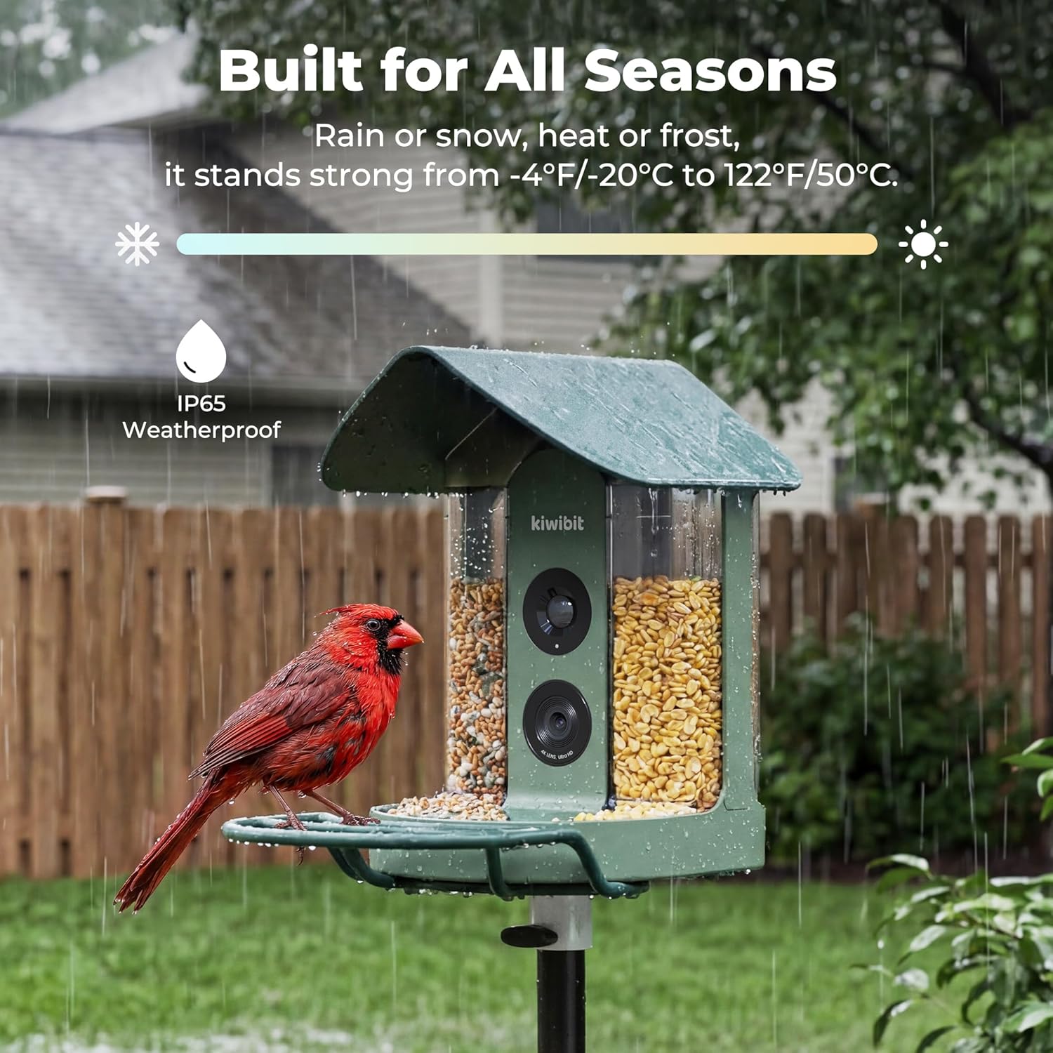 Thumbnail 6 de Beako Smart Bird Feeder 4K Camera