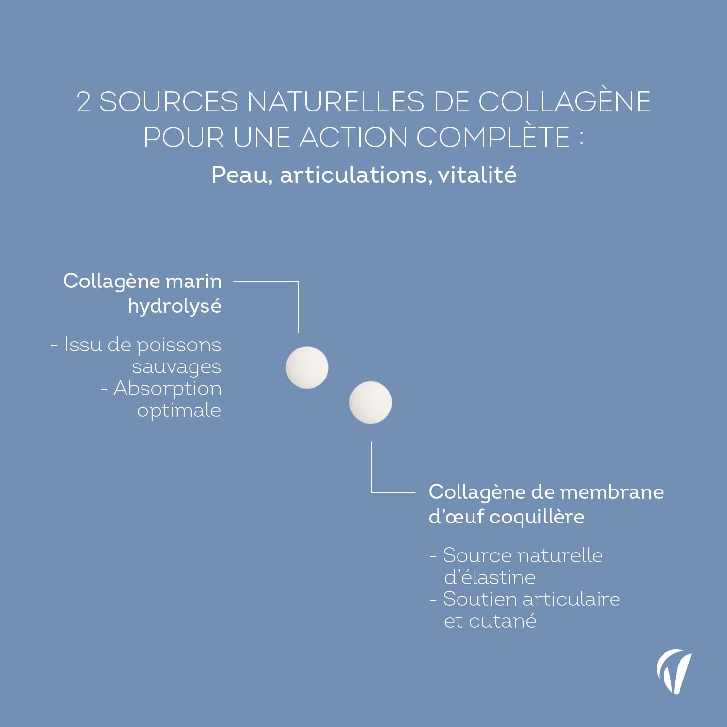 Thumbnail 3 de Vitavea Multi Collagène 5 Types I, II, III, V, X – Peptide de Collagène Hydrolysé & Marin, 90 comprimés