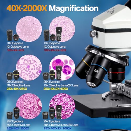 Detalle 2 de MAXLAPTER Compound Microscope 40X–2000X 🔬