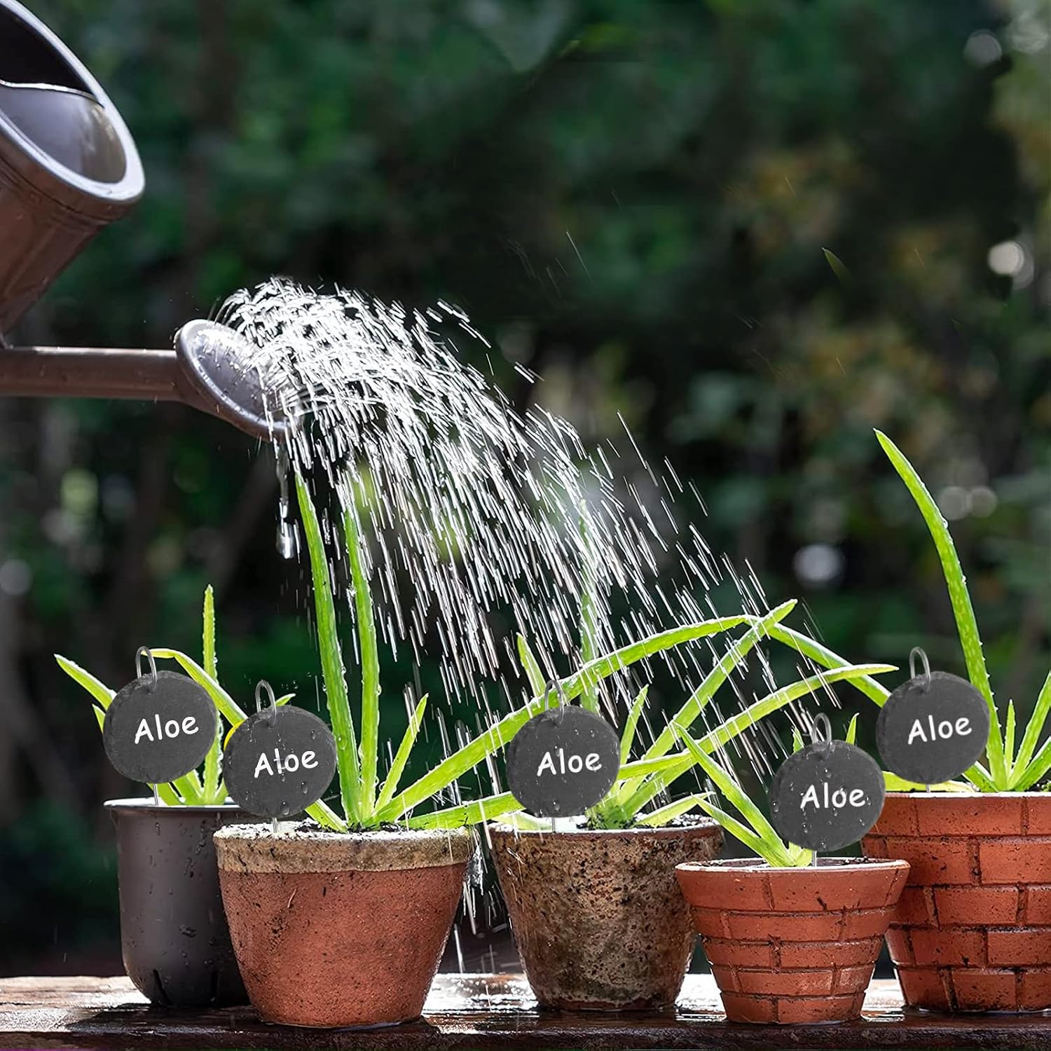 Thumbnail 5 de HIUOUIH Étiquettes de Jardin en Ardoise Naturelle – Lot de 10, Rondes 7,5 cm, avec tiges en inox et craies