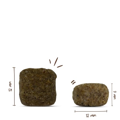 Thumbnail 7 de Bosch HPC Senior Hundefutter trocken, 12,5 kg – ausgewogen, wheatfrei und zuckerfrei
