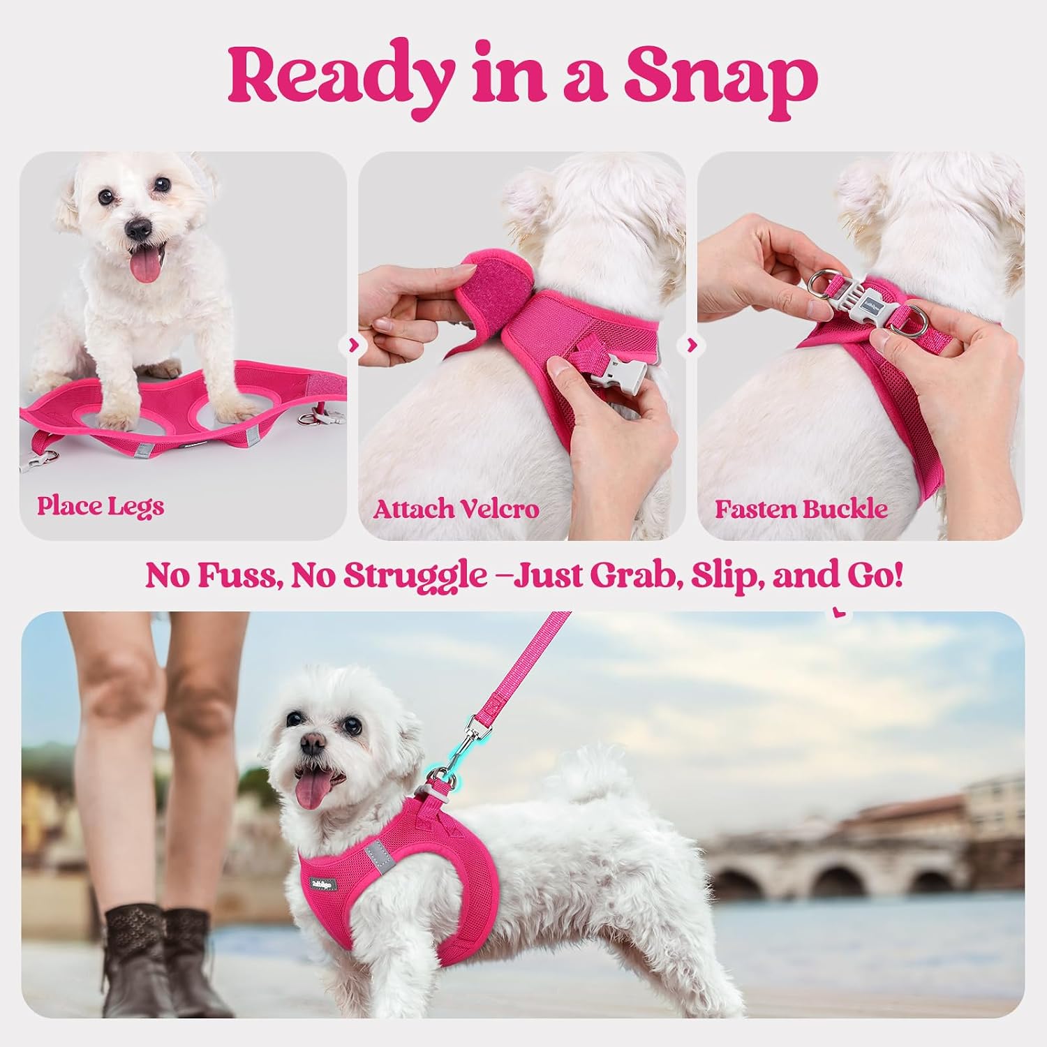 Thumbnail 6 de rabbitgoo Dog Harness and Leash Set, Size S