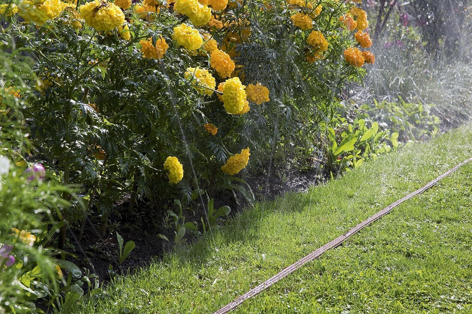 Detalle 2 de Tubo irrigatore Gardena 15 m getto nebulizzato