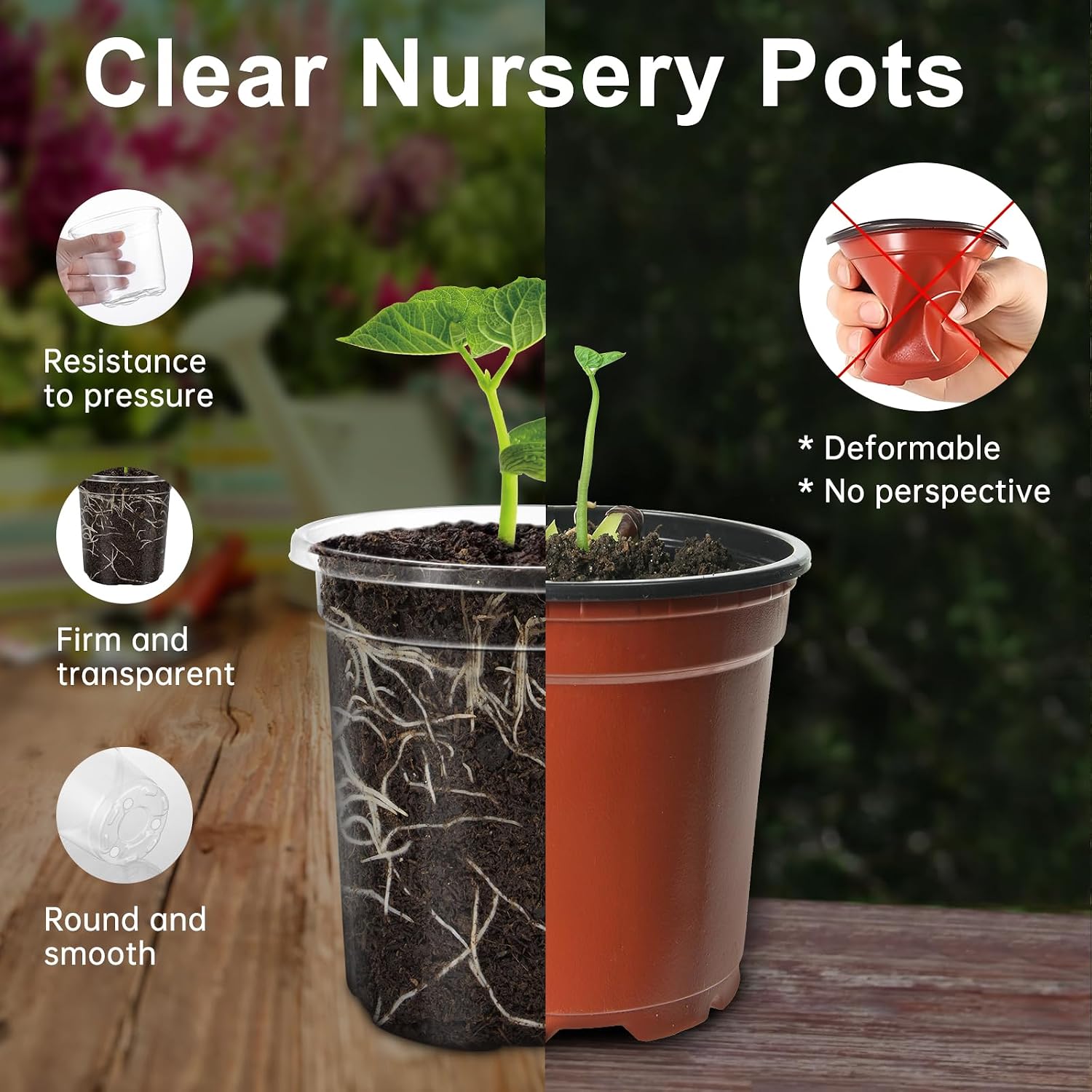 Detalle de Clear Nursery Plant Pots, 6.5-Inch