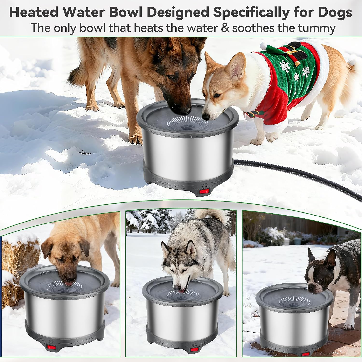 Thumbnail 6 de Twinsing Heated Dog Water Bowl 6.5L
