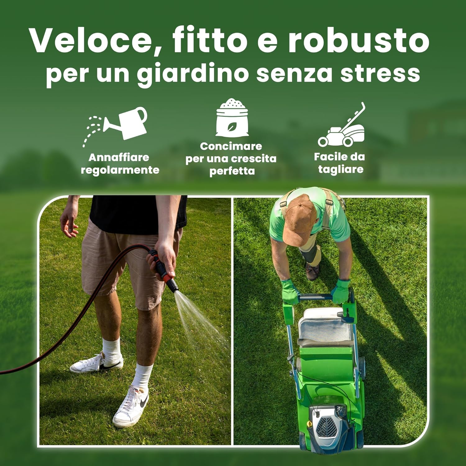 Thumbnail 4 de LERAVA® EXPRESS semi prato crescita rapida (30m²) – Giflo di prato resistente e verde tutto l’anno