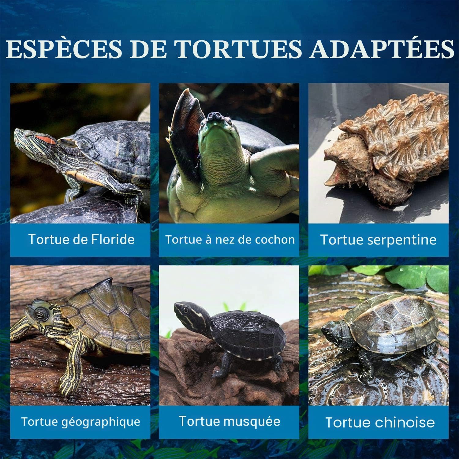 Detalle 2 de Nobleza Nobleza Crevettes Tortue – nourriture pour tortue d’eau aux crevettes, 80 g / 750 ml